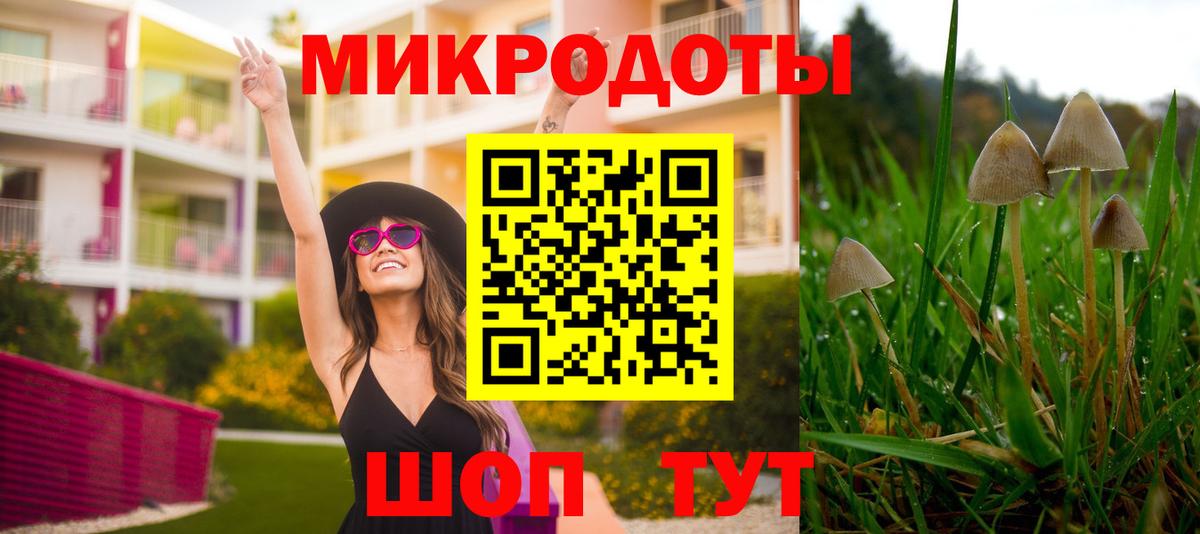 Псилоцибиновые грибы мухоморы Вязьма