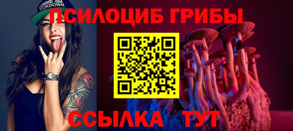 Вязьма  закладки  Вход с VPN  Псилоцибиновые грибы Psilocybine cubensis 